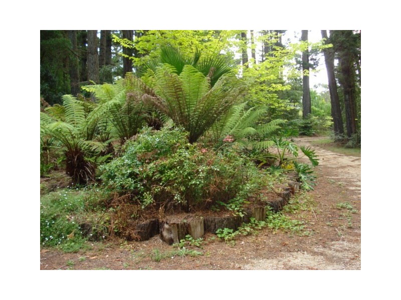 112 Cleopatra Street, Blackheath NSW 2785