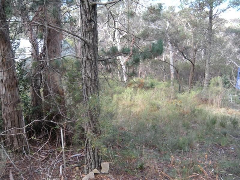 22 Dell Street, Blackheath NSW 2785