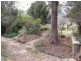 43 Inconstant Street, Blackheath NSW 2785