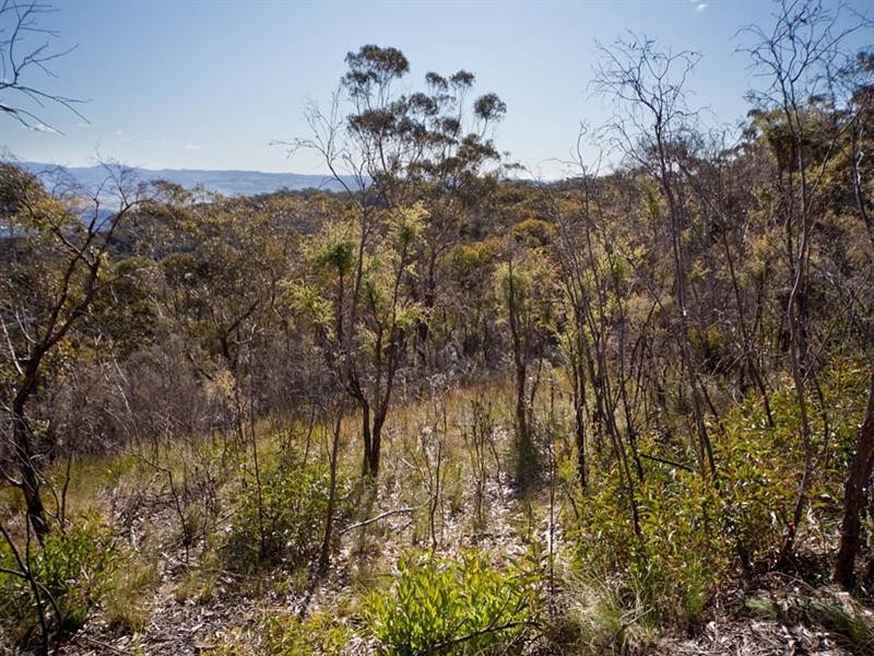 47-53 Ada Road, Blackheath NSW 2785