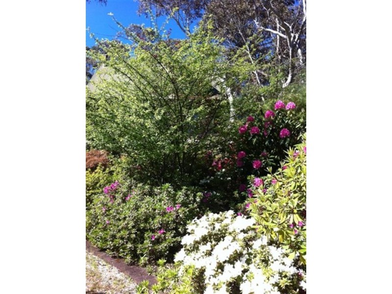 16 Kenny Street, Mount Victoria NSW 2786