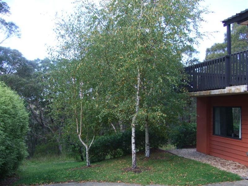 17 Hester Road, Leura NSW 2780