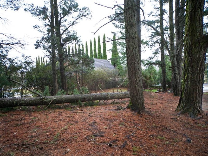 279 Great Western Highway, Blackheath NSW 2785