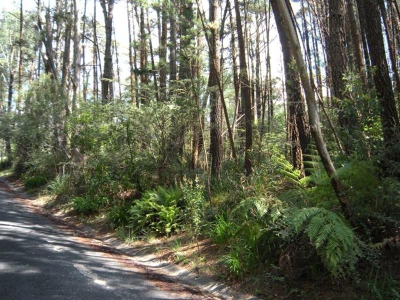 25 Medlow Lane, Medlow Bath NSW 2780