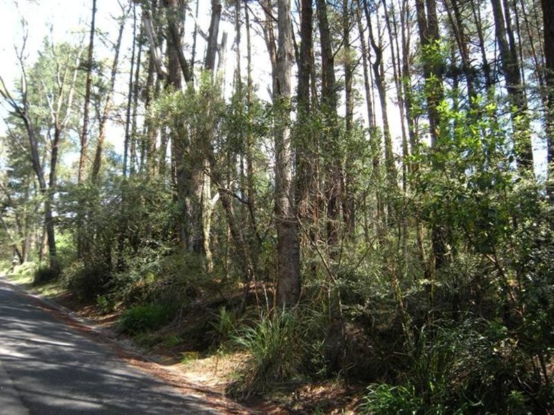 25 Medlow Lane, Medlow Bath NSW 2780