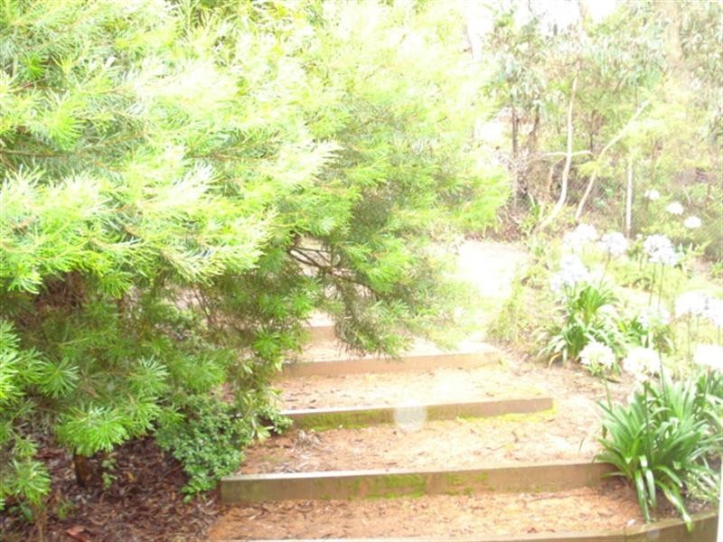 5 Beaufort Ave,, Mount Victoria NSW 2786