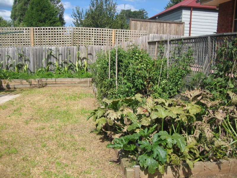 Mount Victoria NSW 2786