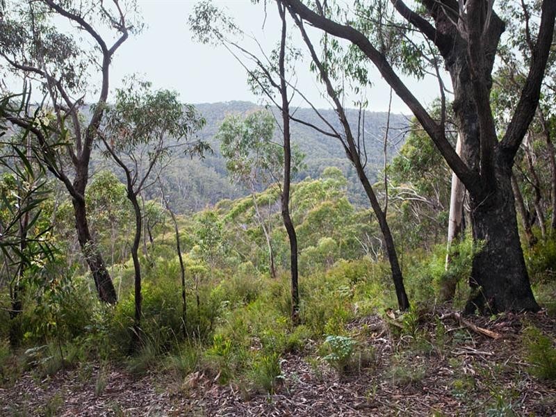 96 Shipley Road, Blackheath NSW 2785