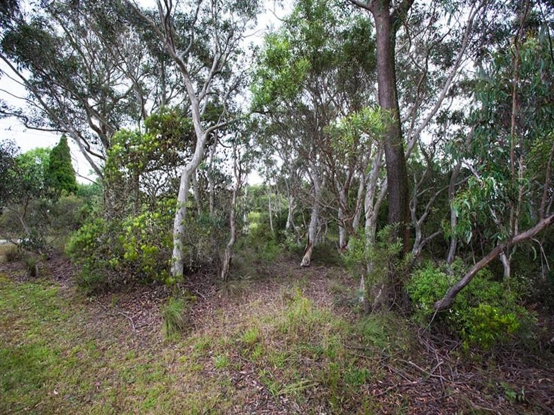 96 Shipley Road, Blackheath NSW 2785