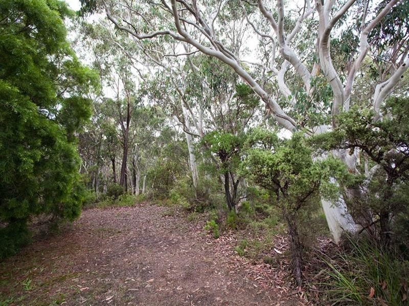 96 Shipley Road, Blackheath NSW 2785