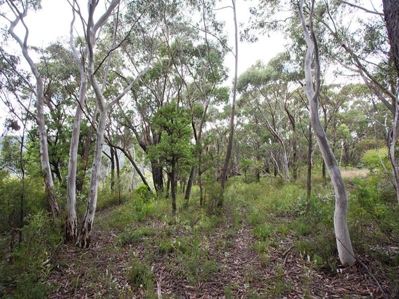 96 Shipley Road, Blackheath NSW 2785