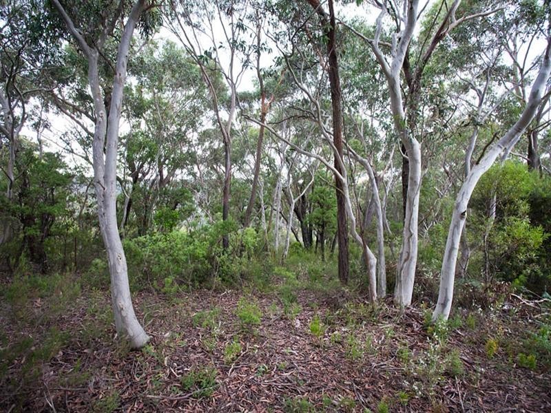 96 Shipley Road, Blackheath NSW 2785