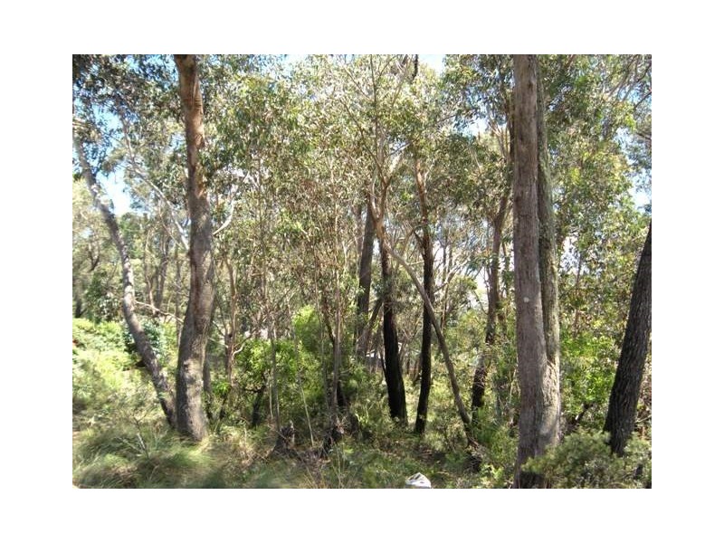 8 Sunbeam Avenue, Blackheath NSW 2785