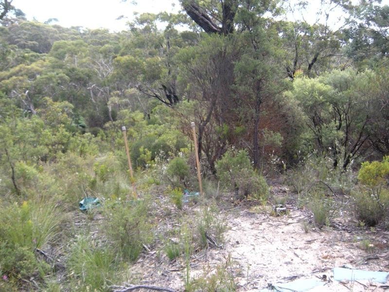 85 Kanimbla Valley Road, Mount Victoria NSW 2786