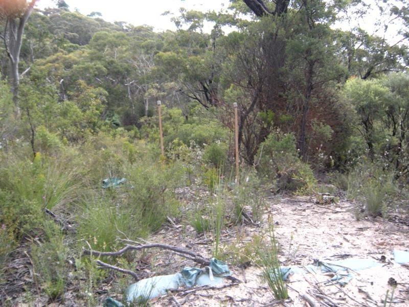 85 Kanimbla Valley Road, Mount Victoria NSW 2786