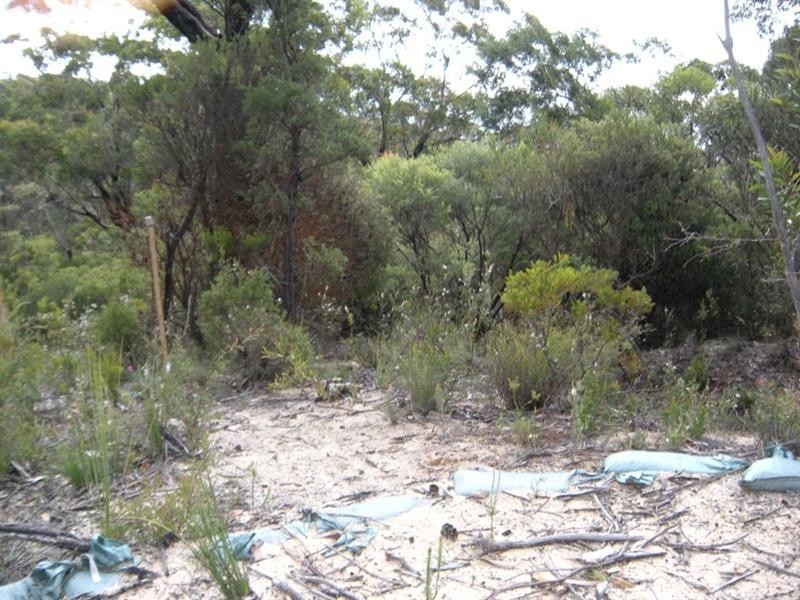 85 Kanimbla Valley Road, Mount Victoria NSW 2786