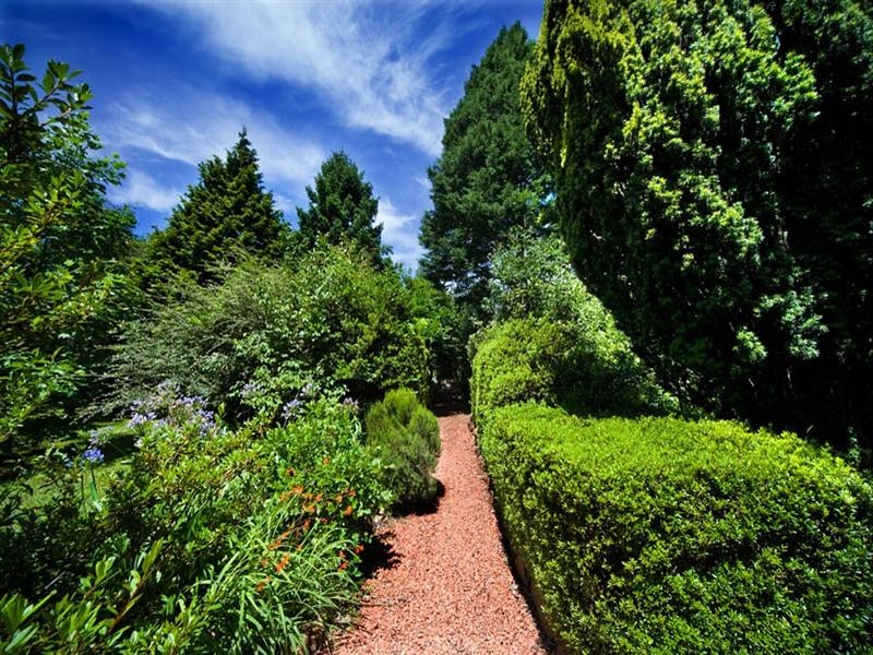 173-175 Evans Lookout Road, Blackheath NSW 2785