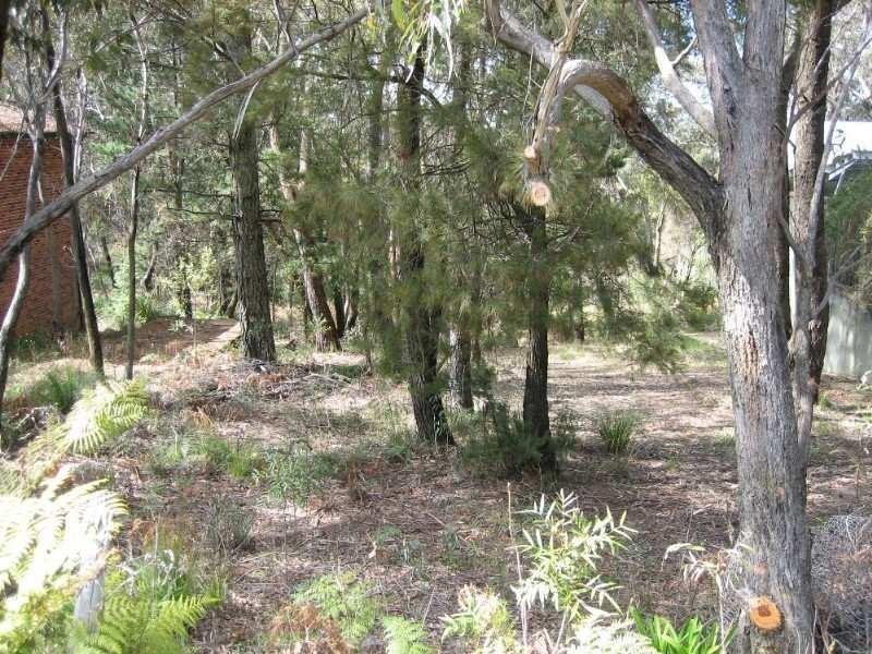 247 Govetts Leap Road, Blackheath NSW 2785
