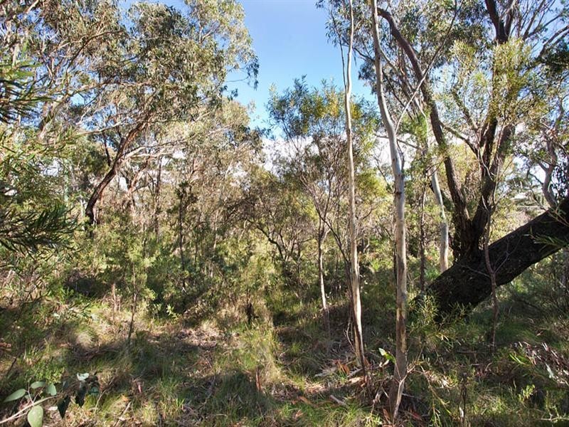 63 Bettington Road, Blackheath NSW 2785