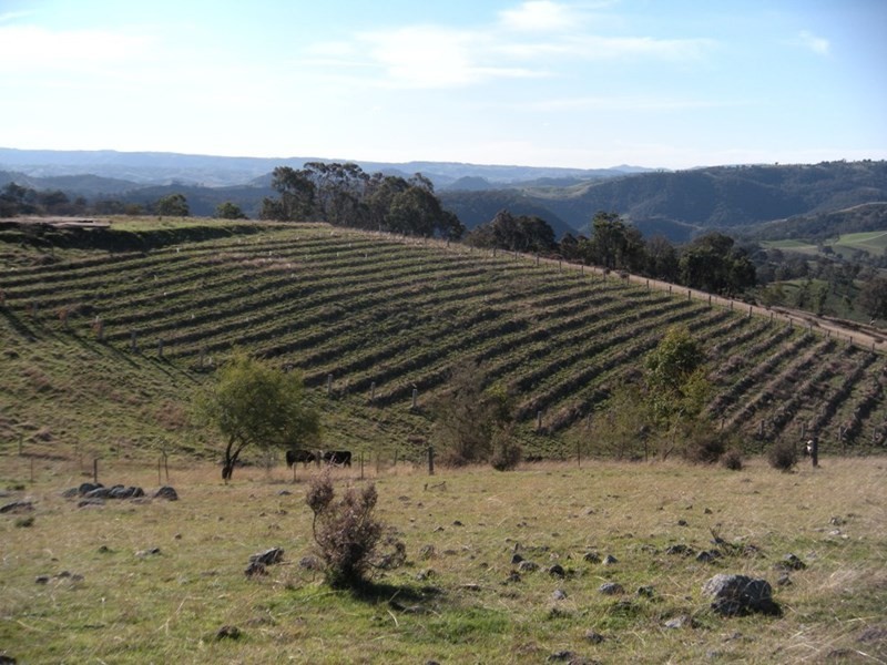 Lot 5 Timperi Drive, Little Hartley NSW 2790