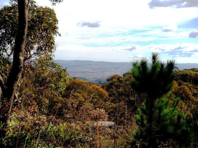 18 Lookout Street, Blackheath NSW 2785