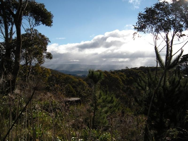 18 Lookout Street, Blackheath NSW 2785