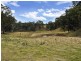 Lot 101/423 Coxs River Road, Little Hartley NSW 2790