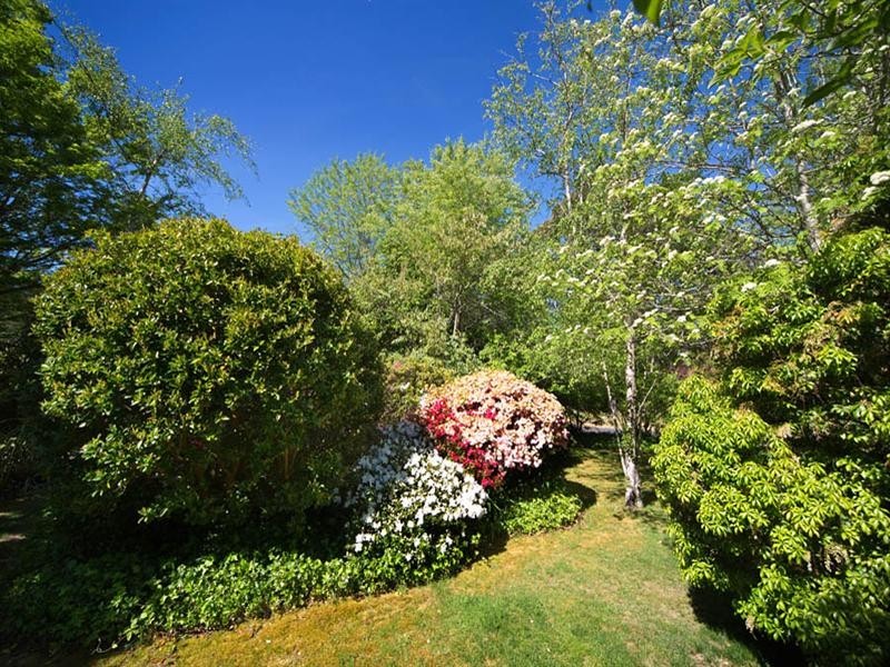 11 Herbert Street, Leura NSW 2780