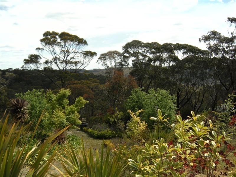 347 Chifley Road, Dargan NSW 2786