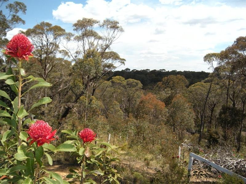 347 Chifley Road, Dargan NSW 2786