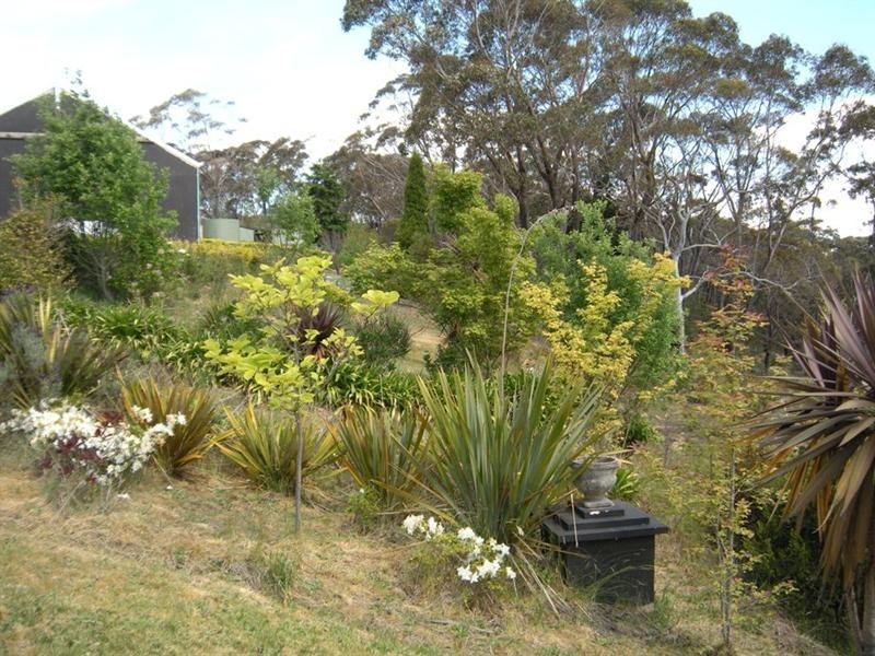 347 Chifley Road, Dargan NSW 2786