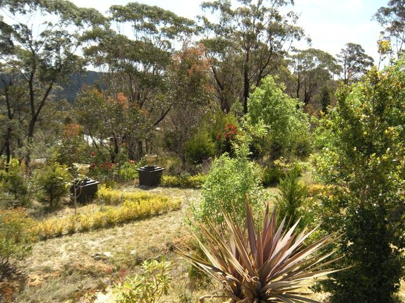 347 Chifley Road, Dargan NSW 2786