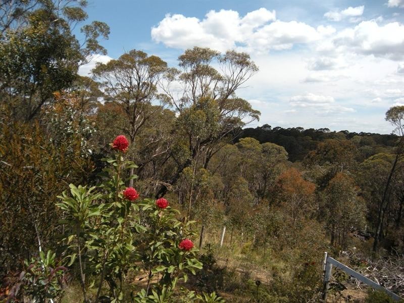 347 Chifley Road, Dargan NSW 2786