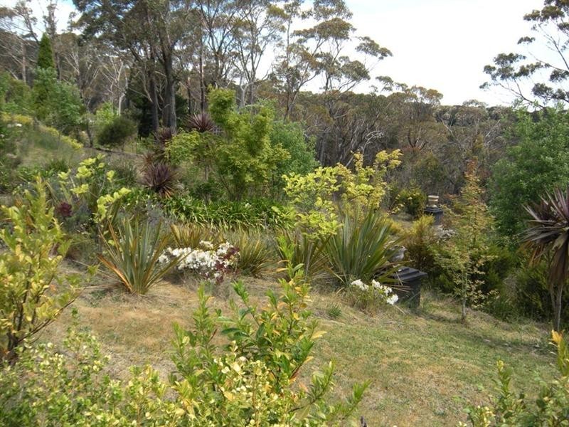 347 Chifley Road, Dargan NSW 2786