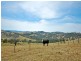 Lot 1167 Coxs River Road, Little Hartley NSW 2790
