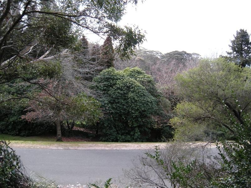 22 Gardiners Crescent, Blackheath NSW 2785