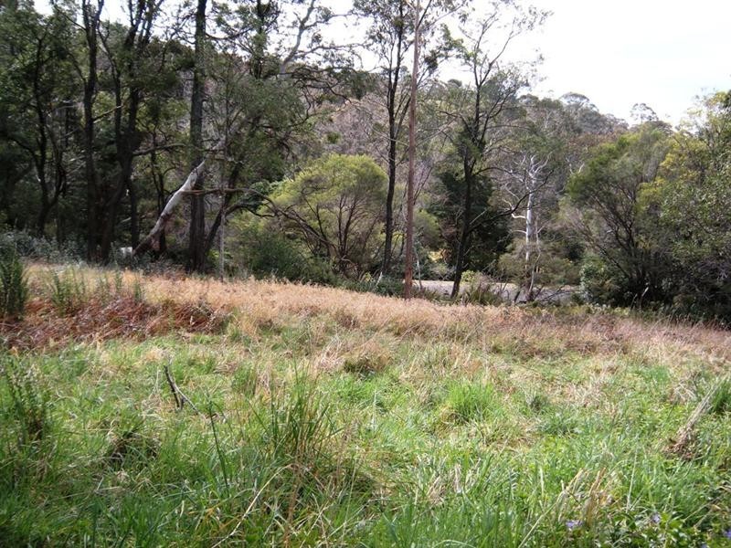 20 Gardiners Crescent, Blackheath NSW 2785