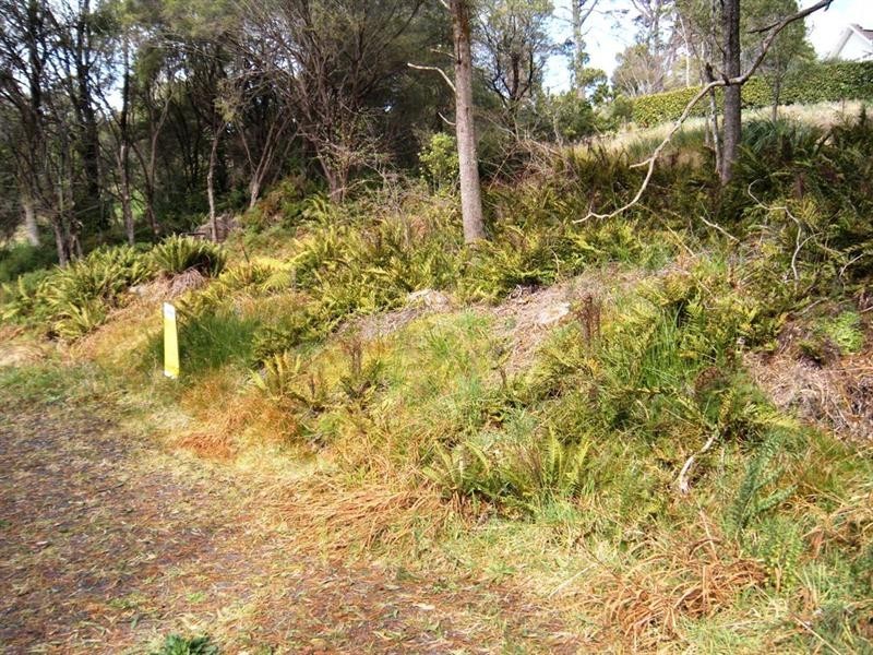 20 Gardiners Crescent, Blackheath NSW 2785