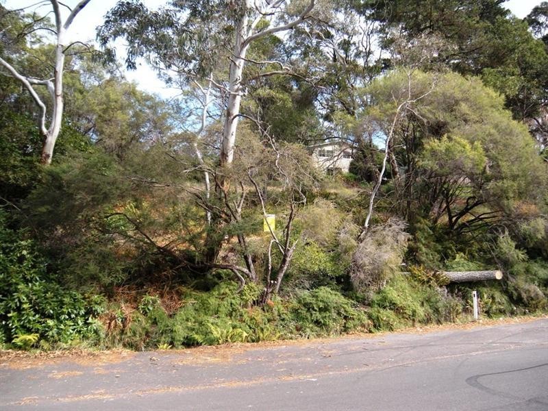 20 Gardiners Crescent, Blackheath NSW 2785