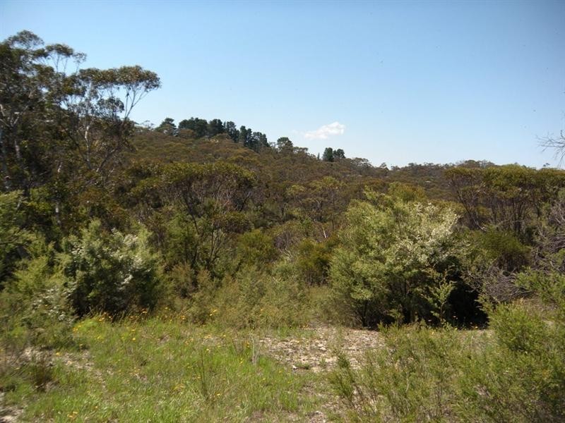 36 Kenny Street, Mount Victoria NSW 2786