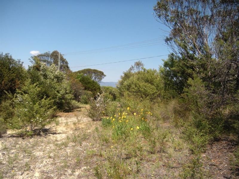 36 Kenny Street, Mount Victoria NSW 2786