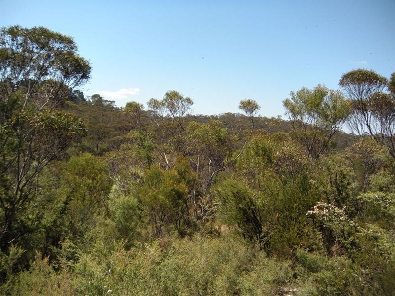 36 Kenny Street, Mount Victoria NSW 2786