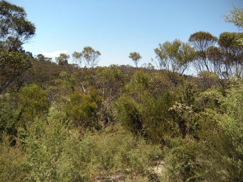 36 Kenny Street, Mount Victoria NSW 2786