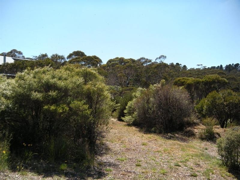 36 Kenny Street, Mount Victoria NSW 2786