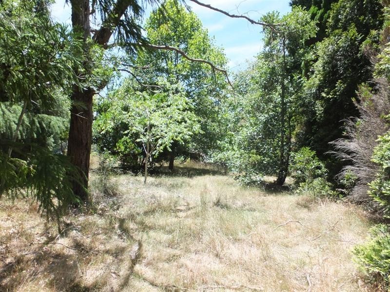 24 Sylvania Street, Mount Victoria NSW 2786