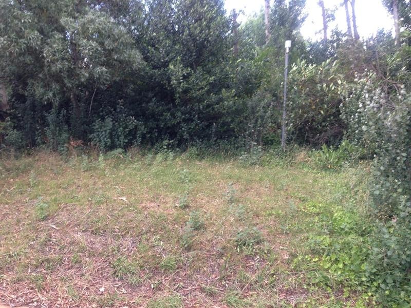 104 Station Street, Blackheath NSW 2785