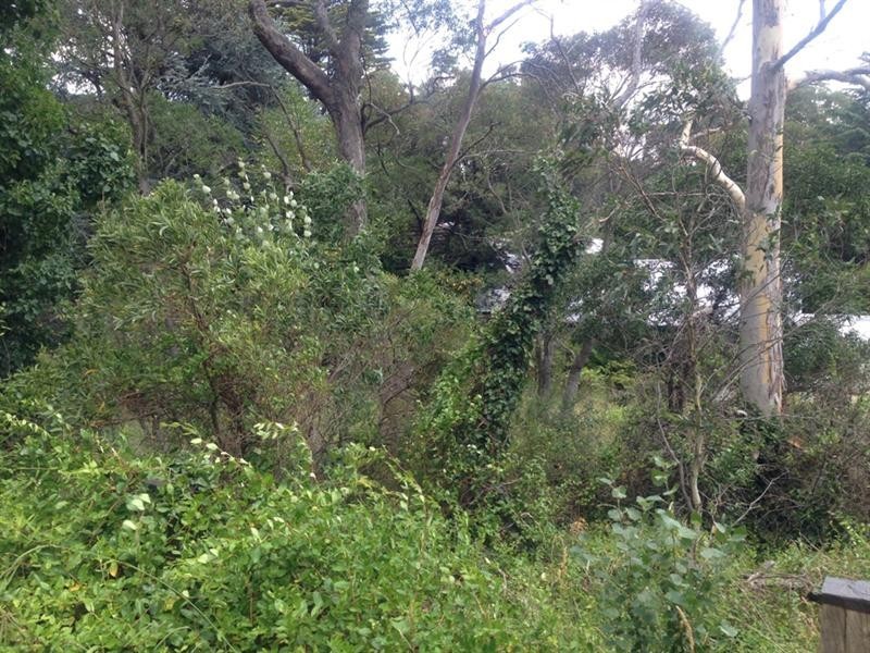 104 Station Street, Blackheath NSW 2785