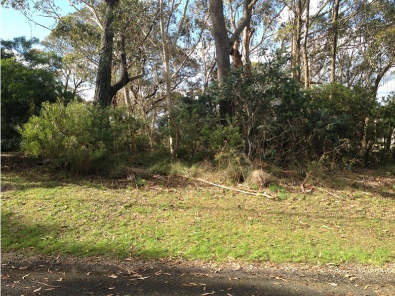 42 Sylvania Street, Mount Victoria NSW 2786