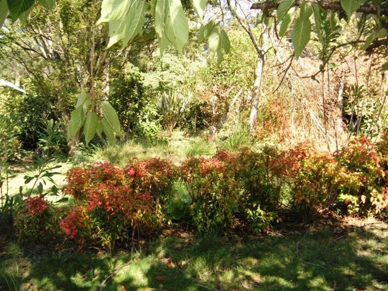 213 Connaught Road, Blackheath NSW 2785