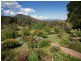 201 Baaners Lane, Little Hartley NSW 2790